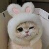 cute4_less
